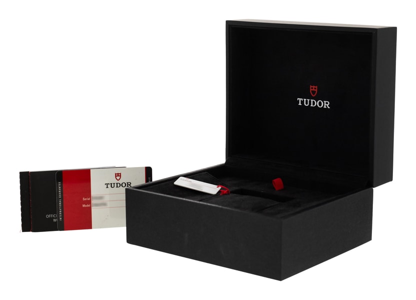 Tudor Pelagos M25610TNL-0001